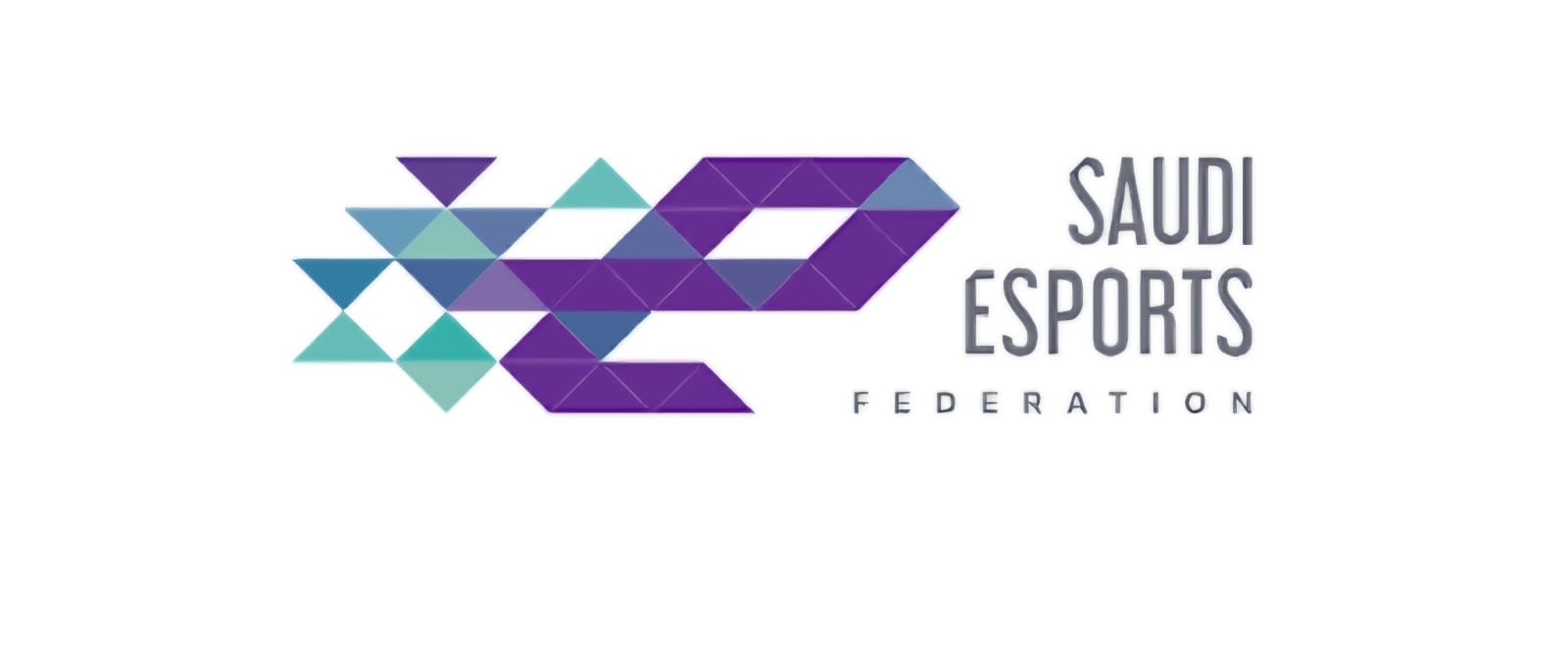 Saudi Esports Federation
